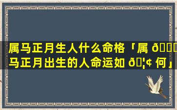 属马正月生人什么命格「属 🐋 马正月出生的人命运如 🦢 何」